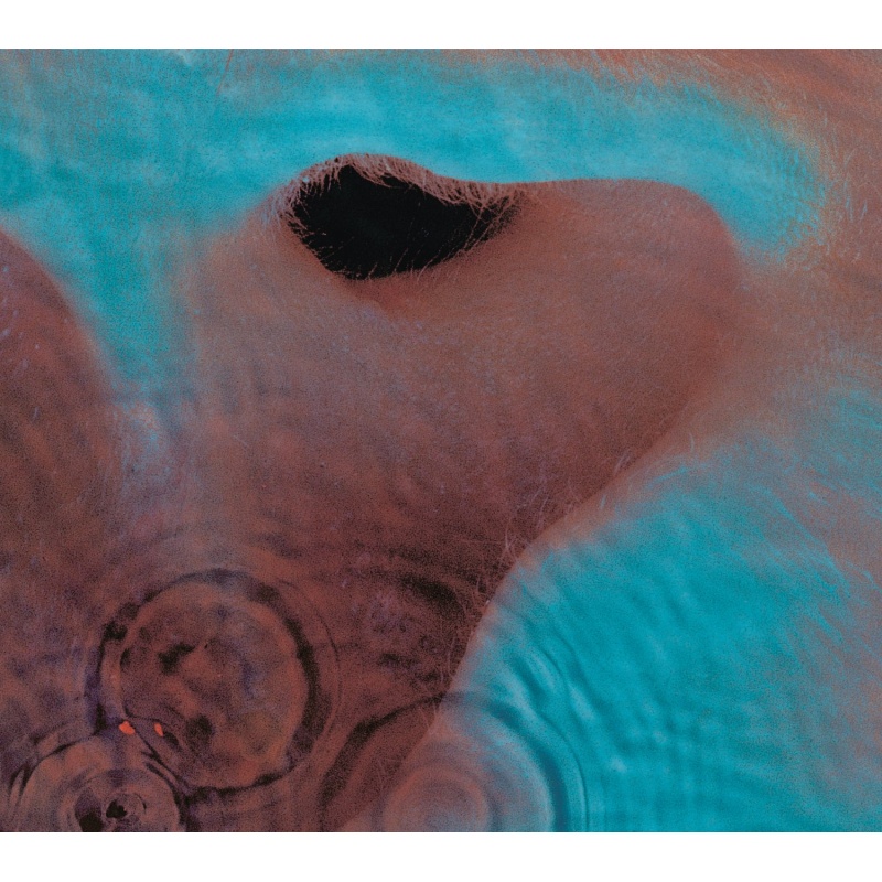 PINK FLOYD - Meddle LP @ Plaadimees